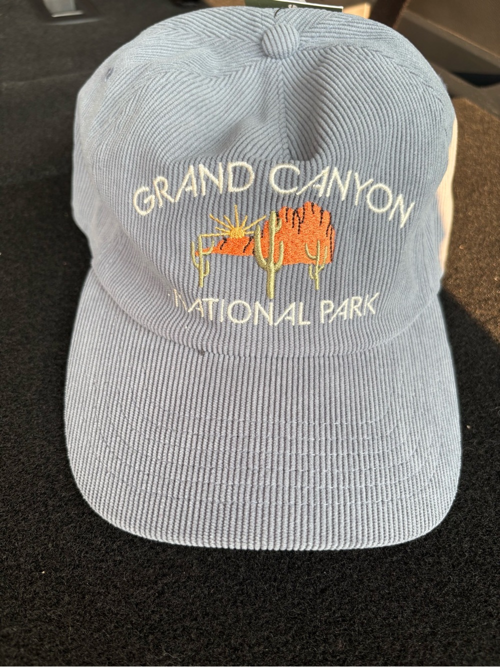 Goodfellow & Co Light Blue Corduroy Grand Canyon Embroidered Cap